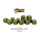 Bolt Action Orders Dice Green