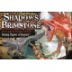 Shadows of Brimstone Swamp Raptor of Jargono