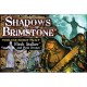 Shadows of Brimstone Flesh Stalker and Flesh Drones