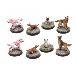 Hunde Set 3