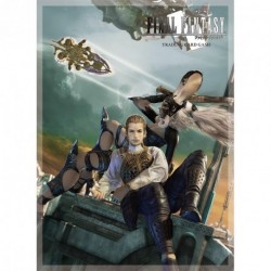 Sleeves Final Fantasy XII