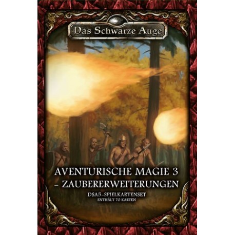 Das schwarze Auge DSA5 Spielkartenset Aventurische Magie 3 Zaubererweiterung