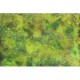 Gaming Mat Grass Plain 6x4