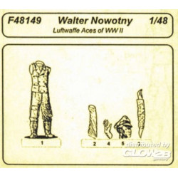 Luftwaffe Aces W. Novotny 