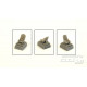 P-40E/K/M and N-1 Seat with Belts f.SH 