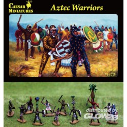 Aztec Warrior 