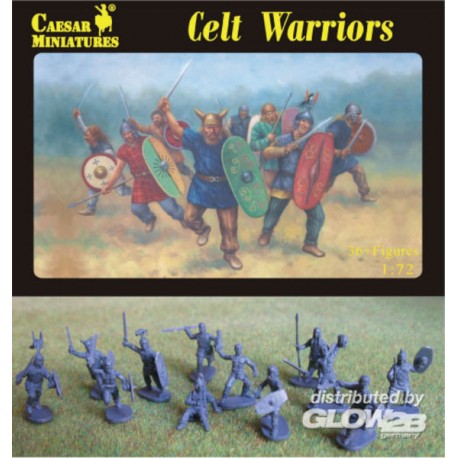 Celt Warriors 