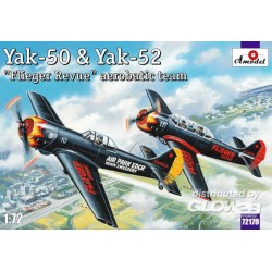 Yak-50 & Yak-52 'Flieger Revue' aerobati 