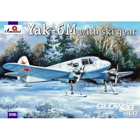 Yakovlev Yak-6M with ski gear 