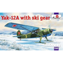 Yakovlev Yak-12A with ski gear 