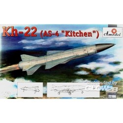 Kh-22(AS-4 'Kitchen') long-range anti-sh 
