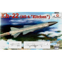 Kh-22(AS-4 'Kitchen') long-range anti-sh 