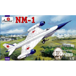 NM-1 