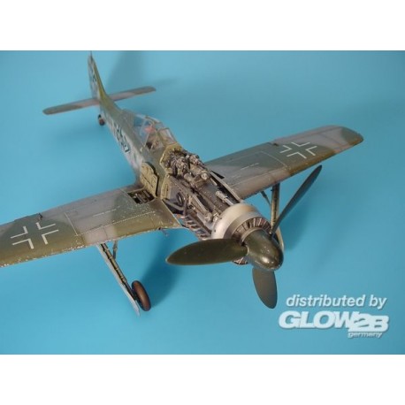 Focke-Wulf Fw 190D Motor Set und Bewaffnung
