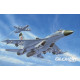Russian Su-27 Early type Fighter 