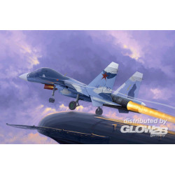 Russian Su-33UB Flanker D 