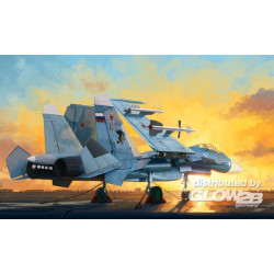 Russian Su-33 Flanker D 
