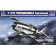 P-47D Razorback Fighter 
