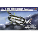 P-47D Razorback Fighter 