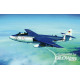 Seahawk MK.100/101 