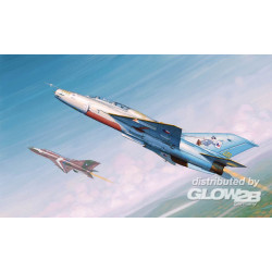 MiG-21UM Fighter 