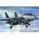 F-14B Tomcat 