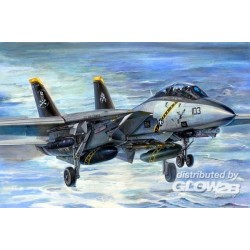F-14B Tomcat 