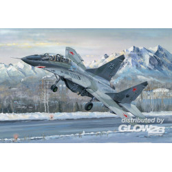 Russian MIG-29UB Fulcrum 