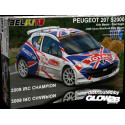 PEUGEOT 207 S2000 Meeke Ypres WR 2009 