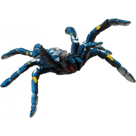 Spinne Figur Blaue Ornamentvogelspinne