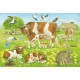 Puzzle Tierfamilien 3x48T