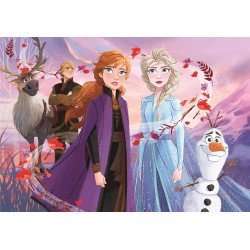 Rahmenpuzzle Frozen 2 15T