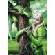 Puzzle ANNE STOKES Kindred Spirits 1000T