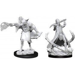 D&D Nolzurs Marvelous Miniatures Arcanaloth & Ultroloth