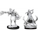 Dungeons & Dragons Nolzurs Marvelous Miniatures Arcanaloth & Ultroloth