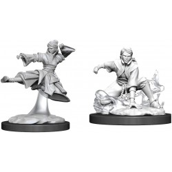 Dungeons & Dragons Nolzurs Marvelous Miniatures Female Human Monk