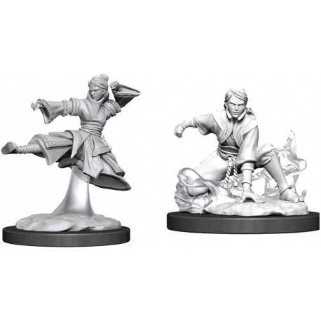 D&D Nolzurs Marvelous Miniatures Female Human Monk