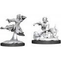 Dungeons & Dragons Nolzurs Marvelous Miniatures Female Human Monk