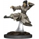 Dungeons & Dragons Nolzurs Marvelous Miniatures Female Human Monk