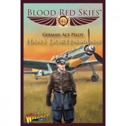 Blood Red Skies Fw 190 Dora Ace: Hans Dortenmann - EN