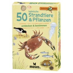 Expedition Natur ? 50 heimische Strandtiere & Pflanzen