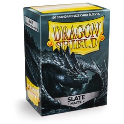 Dragon Shield: Matte ? Slate (100)