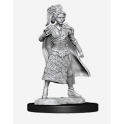 D&D Nolzurs Marvelous Miniatures Female Human Sorcerer