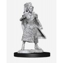 Dungeons & Dragons Nolzurs Marvelous Miniatures Female Human Sorcerer