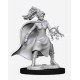 D&D Nolzurs Marvelous Miniatures Female Human Sorcerer