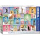 Puzzle Yoga Dogs 1000T 6000-0954