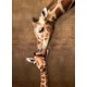 Puzzle Giraffe Mothers Kiss 1000T 6000-0301