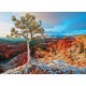 Puzzle Winter Sunrise 1000T 6000-0692