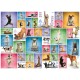 Puzzle Yoga Dogs 1000T 6000-0954