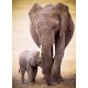 Puzzle Elephant & Baby 1000T 6000-0270